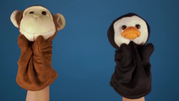 Peluches douces sur les mains sur fond bleu. Concept de spectacle de marionnettes. Gros plan des mains avec singe marionnette et pingouin . — Video