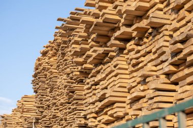 Tahta, kereste, endüstriyel odun, kereste. İnşaat alanında çam ağacı kereste yığını. Endüstriyel kereste üretim malzemeleri