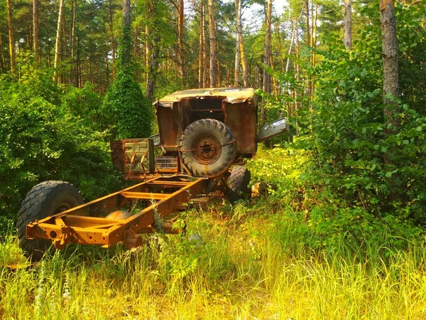 Närbild av övergiven trasig bil i skogen på sommaren. Gammal rostig lastbil mellan gröna träd — Stockfoto