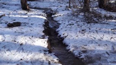 Bahar mevsimi kavramı. Kış mevsiminde akıntı. Bahar geliyor. Yerde kar var. Ağaçlar arasında akan bir akarsu.