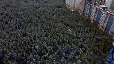 Kentsel alandaki kış ormanlarının havadan görünüşü. Apartman binaları arasındaki ormanlık alana kuşların bakış açısı.