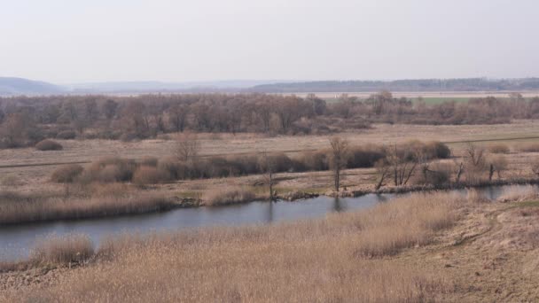 Egy csendes folyó egy zöld vidéki területen. Gyönyörű táj egy folyó nyugodt vízzel, mellett található egy tavaszi erdő a természetben. Egy keskeny, kanyargós folyó fut keresztül a fák ligetén.. — Stock videók