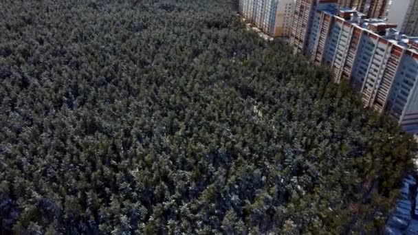 Αεροφωτογραφία του χειμερινού δάσους στην αστική περιοχή. Πτηνά άποψη του δάσους μεταξύ πολυκατοικιών. — Αρχείο Βίντεο