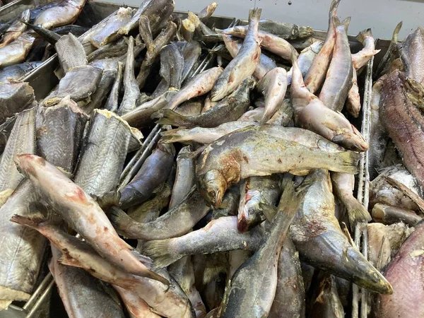 Zamykamy świeże surowe ryby. Ryby schłodzone leżące na ladzie supermarketu. — Zdjęcie stockowe