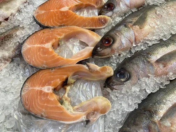 Zamknąć świeże surowe ryby w kawałkach lodu. Ryby schłodzone leżące na ladzie supermarketu z kruszonym przezroczystym lodem. — Zdjęcie stockowe