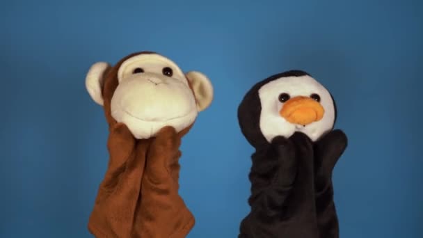 Peluches douces sur les mains sur fond bleu. Concept de spectacle de marionnettes. Gros plan des mains avec singe marionnette et pingouin . — Video