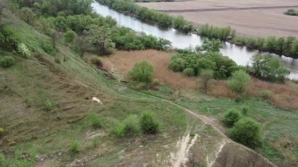 Rustige rivier op het platteland. Van boven, een geweldige rivier met rustig water gelegen naast een voorjaar bos in de natuur. Een smalle, kronkelende rivier die door een bos van bomen stroomt. — Stockvideo