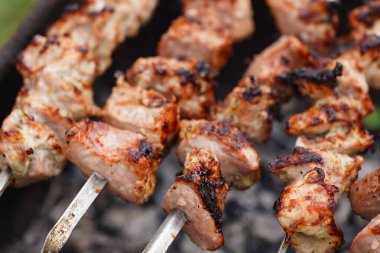 Bahar bahçesindeki ızgarada domuz eti. Doğadaki mangal üzerinde shashlik pişirmek. Shashlik kömürde yemek pişiriyor.