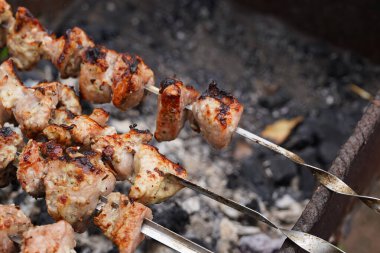 Bahar bahçesindeki ızgarada domuz eti. Doğadaki mangal üzerinde shashlik pişirmek. Shashlik kömürde yemek pişiriyor.
