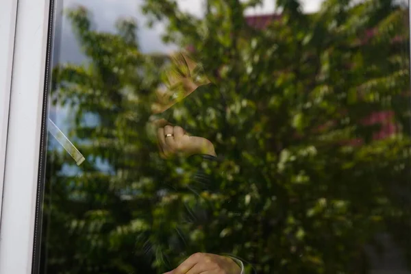 Portrét Přemýšlivé Feny Hnědýma Očima Pozorovající Oknem — Stock fotografie
