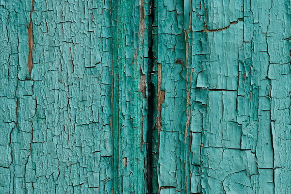 Backdrop of green colored wooden panels with aged flaky surface