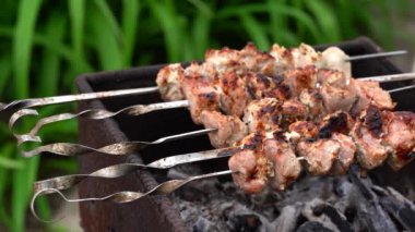 Bahar bahçesindeki ızgarada domuz eti. Doğadaki mangal üzerinde shashlik pişirmek. Shashlik kömürde yemek pişiriyor.