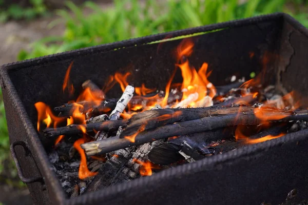 Close Fire Chargrill Dry Sticks Smoulder — Stock Photo, Image