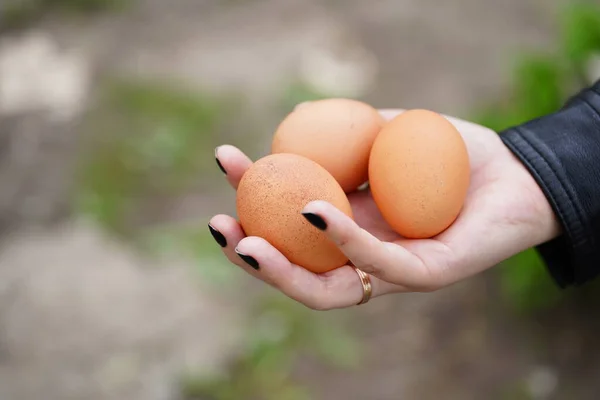 Close up de ovos caseiros na mão das mulheres. Feminino segurando três ovos ao ar livre . — Fotografia de Stock