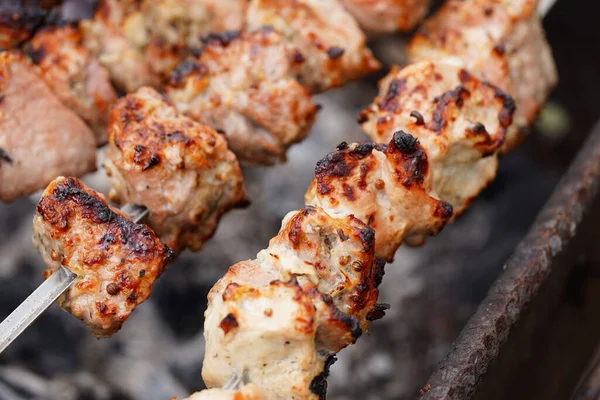 Close Toasted Shashlik Skewers Succulent Barbecue Roasting Chargrill Stock Image