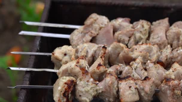 Feche Shashlik Torrado Espetos Assar Churrasco Suculento Chargrill — Vídeo de Stock