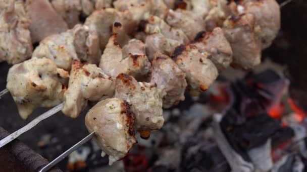 Gros Plan Shashlik Grillé Sur Des Brochettes Grillage Barbecue Succulent — Video