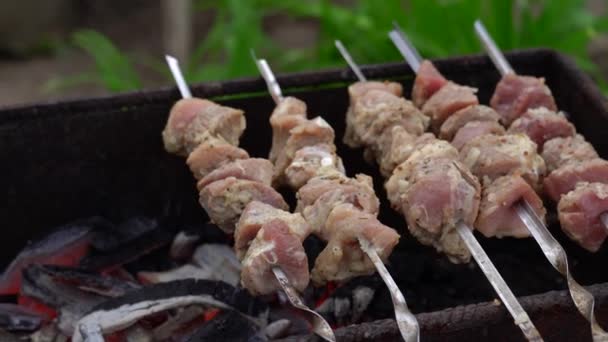 Feche Shashlik Cru Espetos Assar Churrasco Suculento Chargrill — Vídeo de Stock