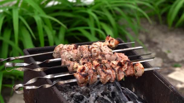 Zblízka Opékaný Shashlik Špejlích Šťavnaté Grilování Grilu — Stock video