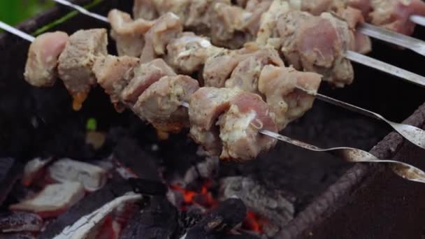 Sluiten Van Rauwe Shashlik Spiesen Sappige Barbecue Roosteren Chargrill — Stockvideo