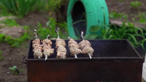 Tutup Dari Shashlik Mentah Pada Tusuk Sate Succulent Barbekyu Panggang — Stok Video