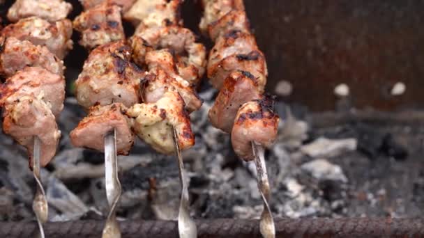 Zblízka Opékaný Shashlik Špejlích Šťavnaté Grilování Grilu — Stock video