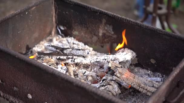 靠近烤肉架上的火堆 干枝烧结机 — 图库视频影像