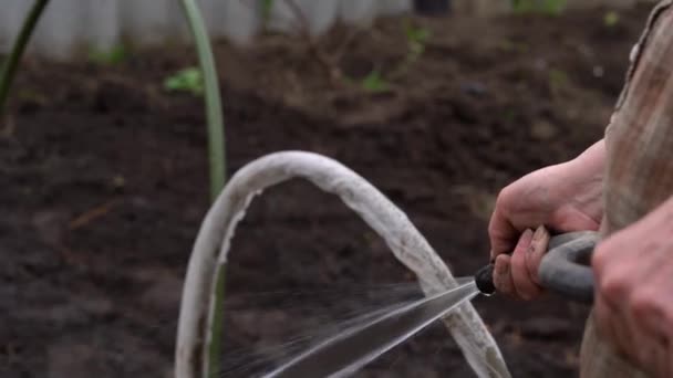 Volwassen Vrouw Water Geven Tuin Met Slang Oudere Vrouwelijke Verkering — Stockvideo