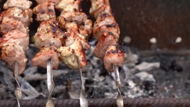 Close Toasted Shashlik Skewers Succulent Barbecue Roasting Chargrill — Stock Video