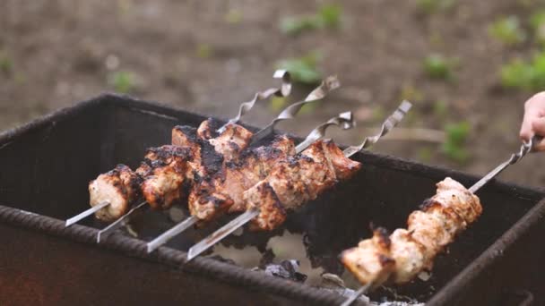 Sluiten Van Geroosterde Shashlik Spiesjes Sappige Barbecue Roosteren Chargrill — Stockvideo