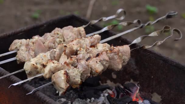 Gros Plan Shashlik Cru Sur Les Brochettes Grillage Barbecue Succulent — Video