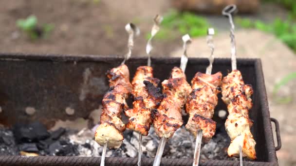 Gros Plan Shashlik Grillé Sur Des Brochettes Grillage Barbecue Succulent — Video