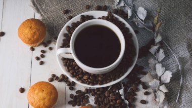 Yeşil bulanık arkaplandaki beyaz narsisi kapat. Açık havada güneşli havada güzel bir çiçek.