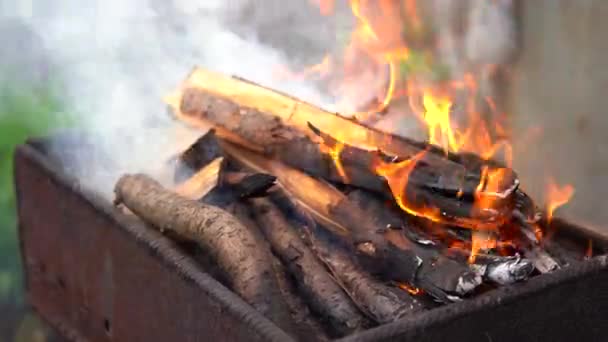靠近烤肉架上的火堆 干枝发霉 在烤架上烹调的概念 — 图库视频影像