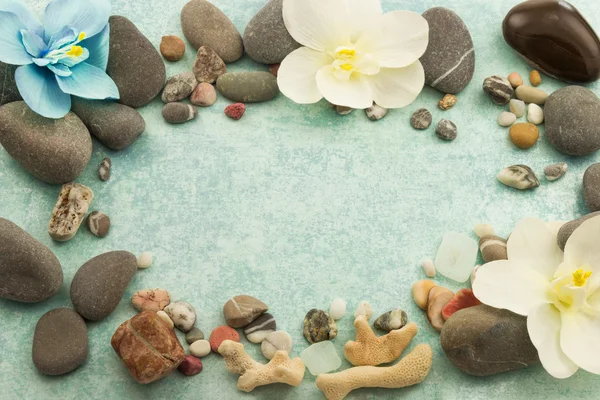 Fondo abstracto, marco con piedras, conchas marinas y flores orquídea — Foto de Stock
