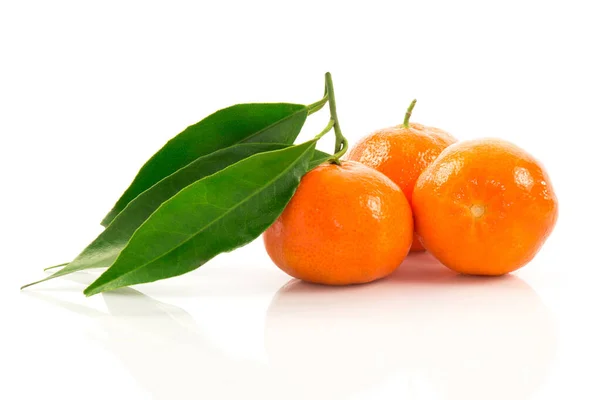 Mogna Tangeriner Med Gröna Blad Isolerade Vit Bakgrund — Stockfoto