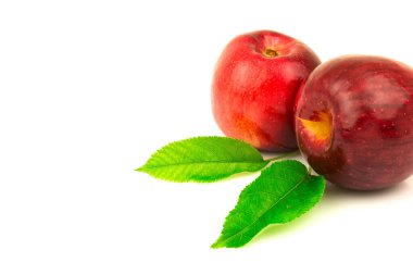 Beyaz arkaplanda yeşil yapraklı kırmızı elmanın makro görünümü