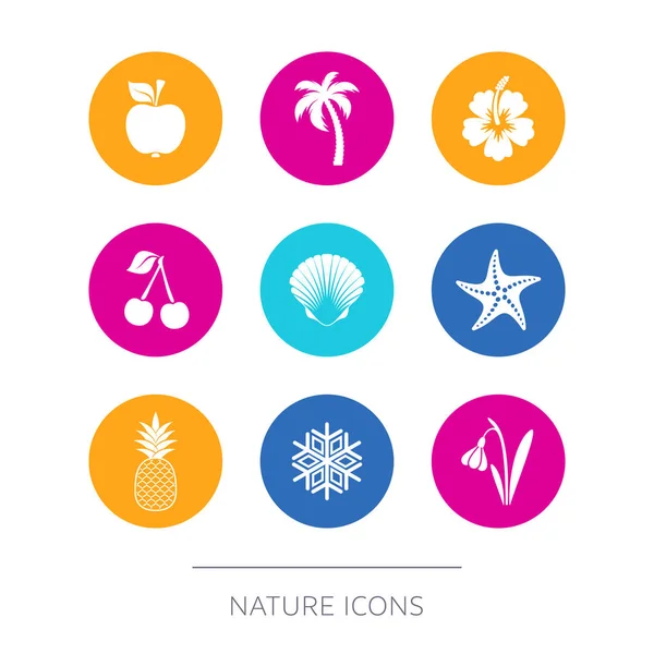 Eenvoudige moderne natuur pictogrammen collectie — Stockvector