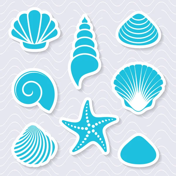 Simple vector sea shells and starfish — Stock Vector