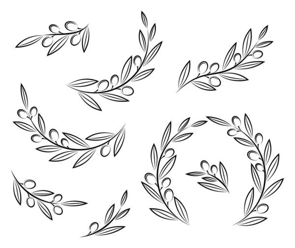 Vector olive branches with leaves and olives — Stok Vektör