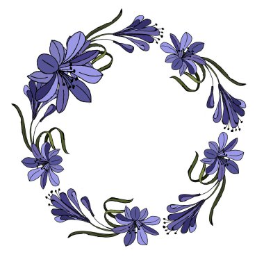 Mavi Mor Agapanthus Vektör İllüstrasyonu. Beyaz Arkaplanda izole edilmiş.