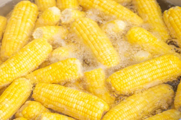 The corn was cooked in boiling water. — Stock Photo, Image