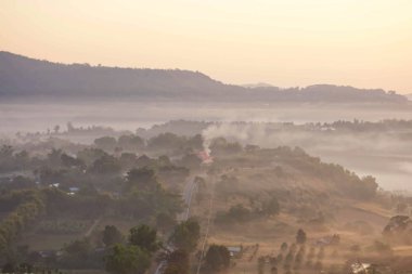 Tayland 'daki Khao Takhian Ngo Phetchabun' da ağaçlarla kaplı sabah sisi..