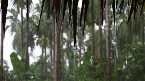 Des gouttes d'eau qui coulent du toit qui est faite à partir des feuilles séchées en période de pluie Arrière-plan arbres flous .