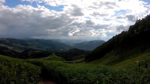 Videoen beveger seg fra høyre til venstre side av de gule blomstermarkene eller Tithonia diversifolia (Hemsl.) A.Gray. (engelsk) på fjellene Bakgrunn vakre skyer på himmelen og vei ved Doi Mae Ukho, Mae – stockvideo