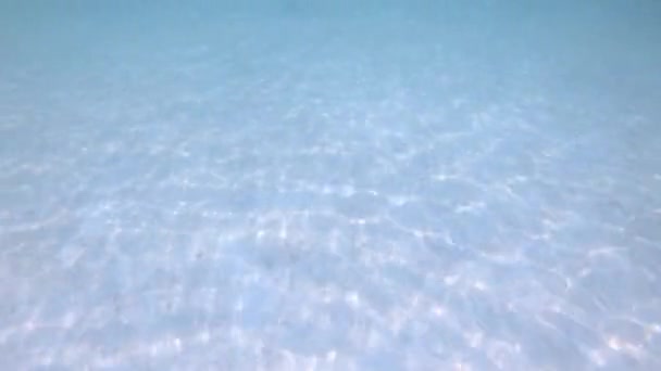 小さな魚が砂の床と反射面で澄んだ海で泳ぐ. — ストック動画