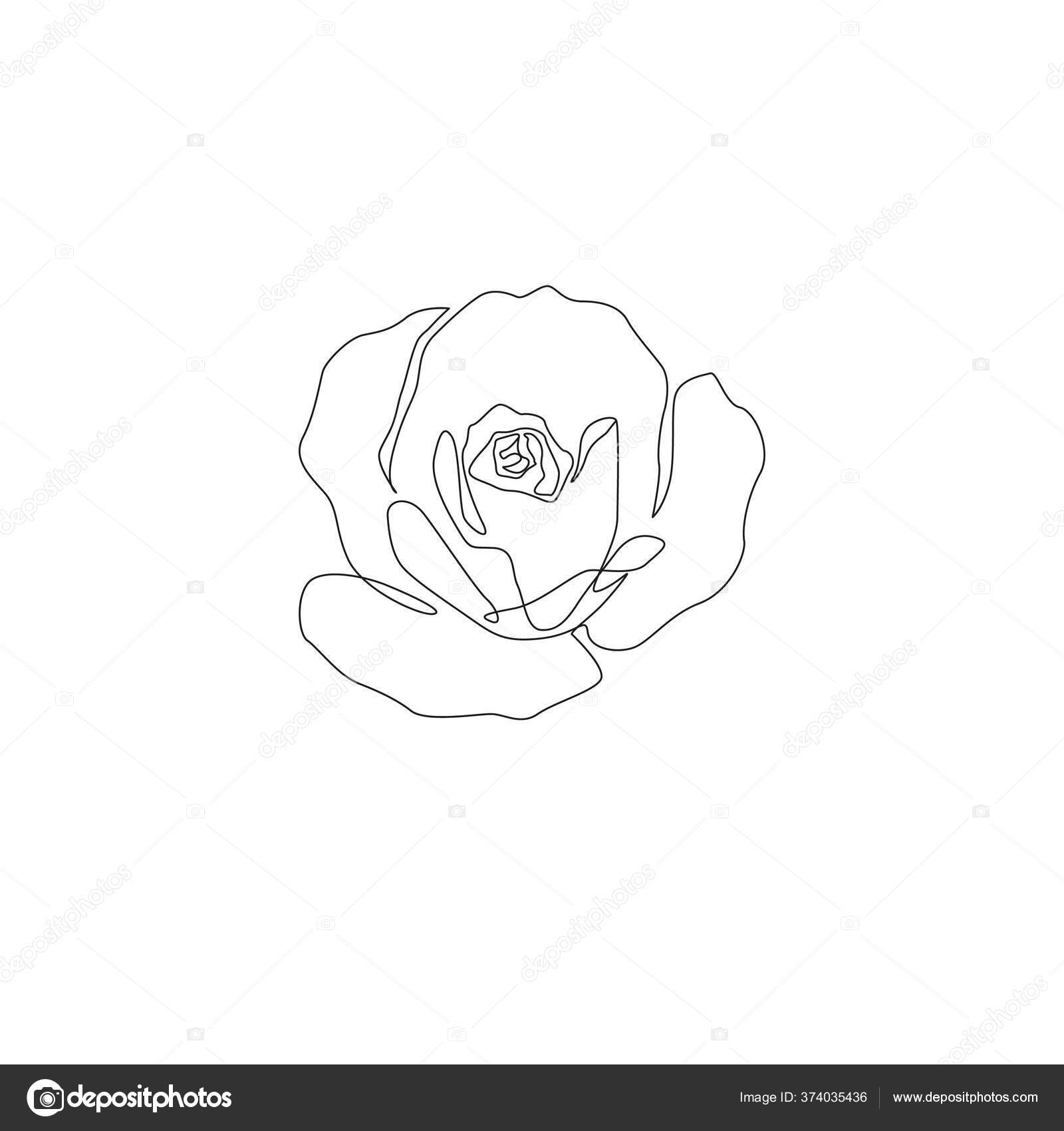 Rose Line Art Poster - Flower illustration