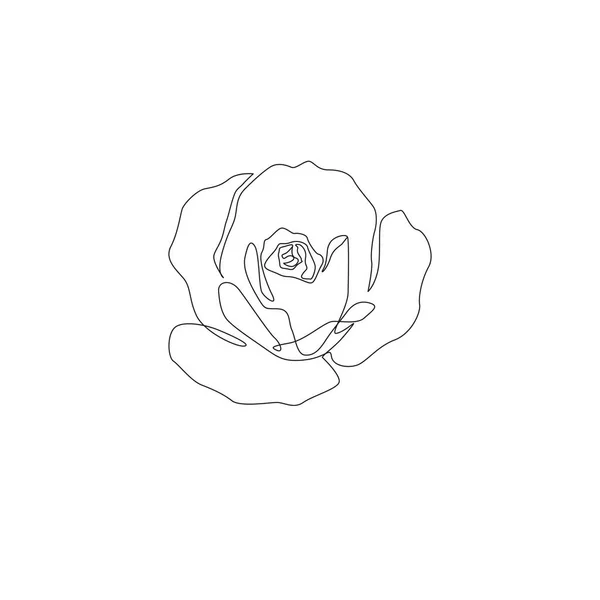 Single stroke drawing Vector Art Stock Images | Depositphotos Single stroke drawing Vector Art Stock Images | Depositphotos