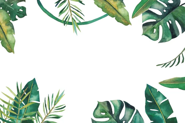 Quadro aquarela desenhado à mão com folhas verdes tropicais — Fotografia de Stock