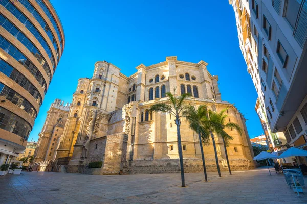 Cityscape with Malaga cathedral at sunset — Stock Photo, Image